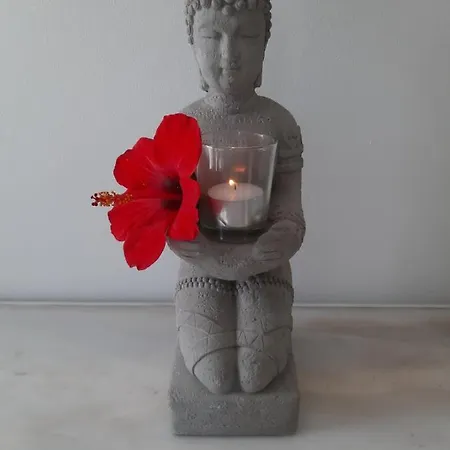 Eva's Place 別荘 *