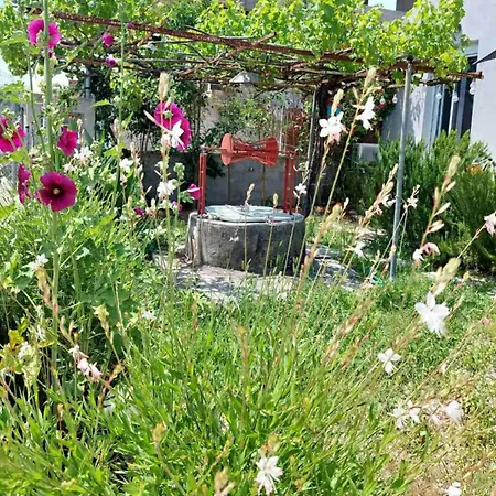 Eva's Place 里科索翁