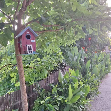 Eva's Place * 里科索翁