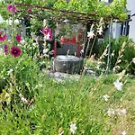 Eva's Place リクスリオン