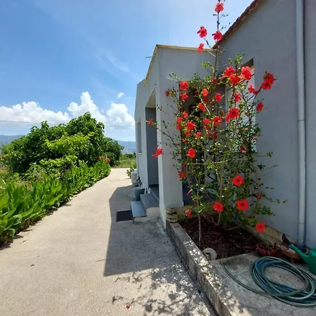 Eva's Place בית נופש