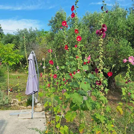 Eva's Place * ליקסורי