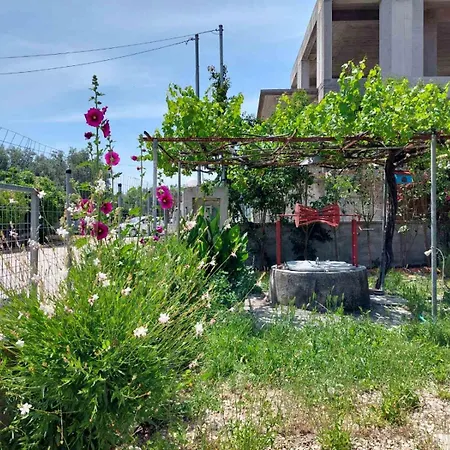 בית נופש Eva's Place *