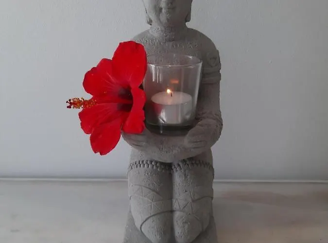 Eva's Place 펜션 *