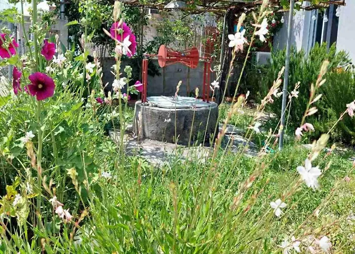 Eva's Place Lixouri