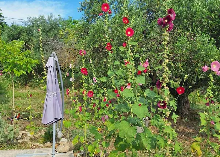 Eva's Place * Lixouri