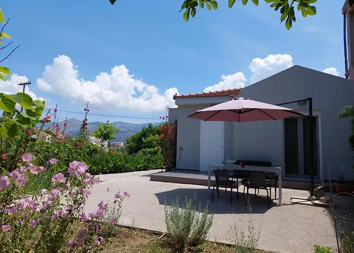 Eva's Place * 릭수리