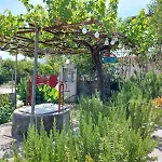 Eva's Place Lixouri